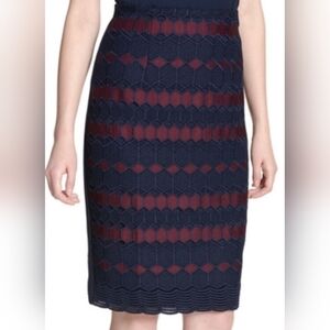 CALVIN KLEIN Embroidered Lace Pencil Skirt, Size 4